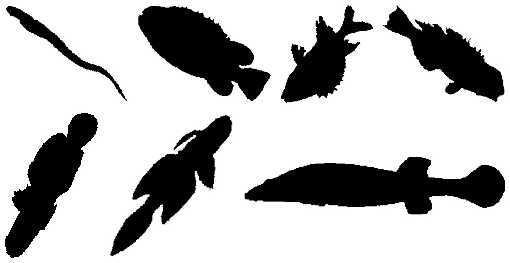 Figure 4.3 — sample classes from the fish dataset.